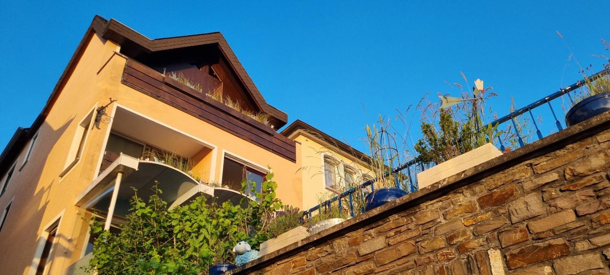Pension Regina Commune fusionnée de Cochem-Land Extérieur photo